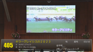 【セレクトセール2023】キラーグレイシスの2023、３億円超え