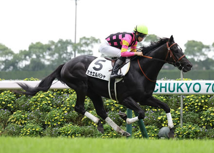 新人馬主さん、初めて購入した馬が2億円超の藤田晋と金子真人の馬に勝ってしまう