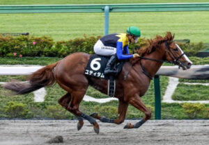 JDD4着ユティタム川田「中間の暑さが影響したのかもしれません」