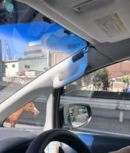 東京の路上に馬