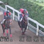 【アイビスサマーダッシュ2023】追い切り/調教を見てわかる事