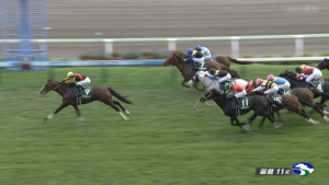 ローシャムパーク強すぎワロタwww