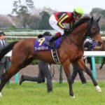 【ディープ系】ワールドエース種牡馬引退