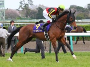 【ディープ系】ワールドエース種牡馬引退