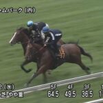 【函館記念2023】追い切り/調教を見てわかる事