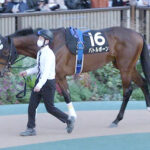 【競馬予想】[2]第59回七夕賞 (GⅢ)/2023