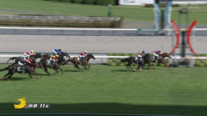 【CBC賞】団野新たな中京1200マイスター襲名か？　他