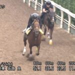 【プロキオンステークス2023】追い切り/抜群の動きを見せたのは