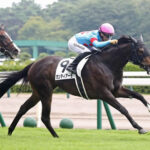 【2歳新馬】カンティアーモ強すぎワロタwww