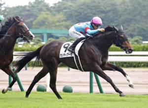 【2歳新馬】カンティアーモ強すぎワロタwww