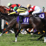 ジャックドール連覇が懸かる札幌記念で始動 鞍上は引き続き武豊