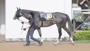 【競馬予想】第59回CBC賞(GⅢ)/2023