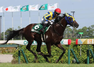 【中京記念】8番人気セルバーグが逃げ切りV!重賞初制覇