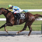 【プロキオンS】ドンフランキー接戦制し重賞初制覇!JRA重賞最高馬体重勝利記録を更新