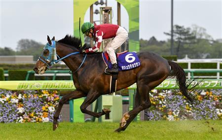 【2歳新馬】オジュウチョウサン半妹スターチョウサン武豊で札幌デビュー