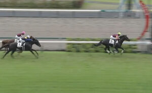 億超えの2歳レイデオロ産駒、今週も逝くｗｗｗ