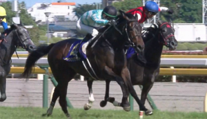 デアリングタクトさん、現在538kg