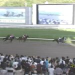 【マーキュリーカップ2023】結果・動画/ウィルソンテソーロが人気に応え圧勝