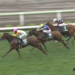 【函館2歳ステークス2023】結果・動画/ゼルトザームが外から差し切る