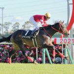 【競馬予想】[2]第23回 アイビスサマーダッシュ（GⅢ）/2023