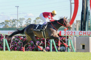 【競馬予想】[2]第23回 アイビスサマーダッシュ（GⅢ）/2023