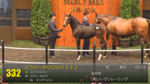 【セレクトセール2023】景気が良いﾝｺﾞねぇ　