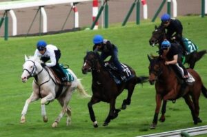 ソダシ半弟カルパがデビュー！武豊「人気集めると思うけど態勢は整っている」