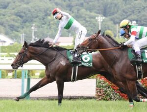 【ラジオNIKKEI賞】西村淳也のガッツポ早すぎワロタwww