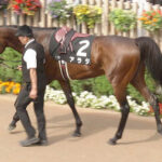 【競馬予想】[2]第59回 函館記念(GⅢ) /2023