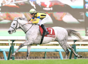 春天3着馬シルヴァーソニックがメルボルンCへ