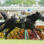 【競馬予想】[1]第59回七夕賞 GⅢ /2023