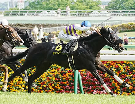 【競馬予想】[1]第59回七夕賞 GⅢ /2023