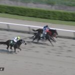 【レパードステークス2023】出走予定馬・騎手/さらなる高みへ