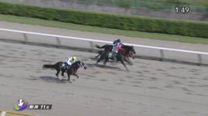 【レパードステークス2023】出走予定馬・騎手/さらなる高みへ