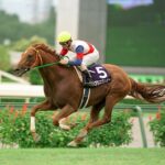 外国産馬と聞いて最初に思い浮かべる馬