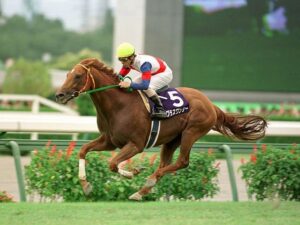外国産馬と聞いて最初に思い浮かべる馬