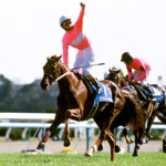 GI2勝で最強の馬