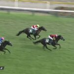 【競馬】新潟2歳Sは北村宏騎乗のアスコリピチェーノがV