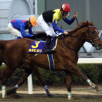 一番好きなダート馬