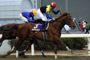 一番好きなダート馬