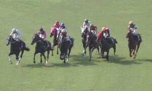 【競馬】斎藤誠師「しっかり騎手が追うのに応えるのがヌーヴォレコルトの真骨頂(鞍上：武豊)。正直レースしていないかな」