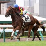 札幌二歳ステークス ガイアメンテVSギャンブルルームVSパワーホール