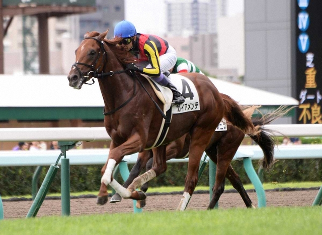 札幌二歳ステークス　ガイアメンテVSギャンブルルームVSパワーホール