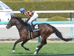 モズメイメイ、武豊とのコンビでスプリンターズSへ