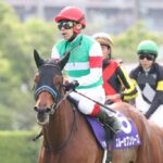 【朗報】スルーセブンシーズ、凱旋門賞の鞍上はルメールに決定!!