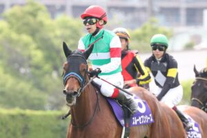 【朗報】スルーセブンシーズ、凱旋門賞の鞍上はルメールに決定！！