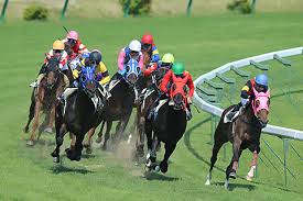 日本のガラパゴス競馬