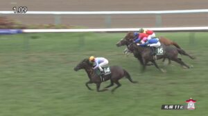 【キーンランドカップ2023】結果・動画/ナムラクレアが人気に応え快勝