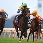 ディープの頃まではそれなりの外国馬がJCに来てたよな