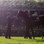 【競馬】モーリスの回避で今年のマイルチャンピオンシップは何が勝ってもおかしくない